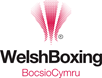 Welsh Amateur Boxing Association Limited