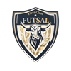First Class Futsal